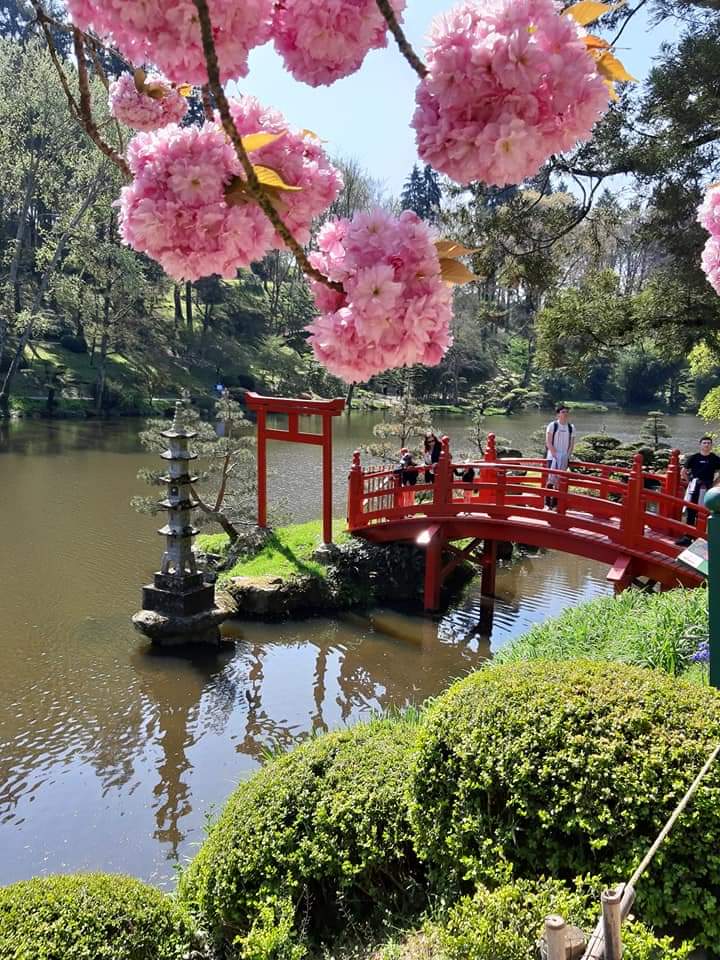 Une photo prise par un ami du parc oriental de Maulevrier 😍
( 49 )
Je vous souhaite de passer une agréable journée ❣