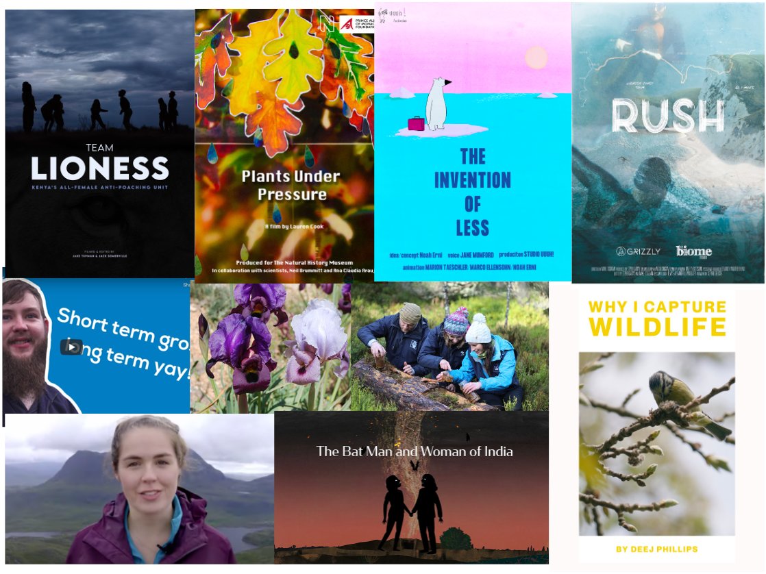 For details of the shortlisted films of the ECoS founded Edinburgh Conservation Film Festival on the 23rd April at 2pm please visit ecff.co.uk
Tickets are free and can be booked at edin.ac/3jW4OG8