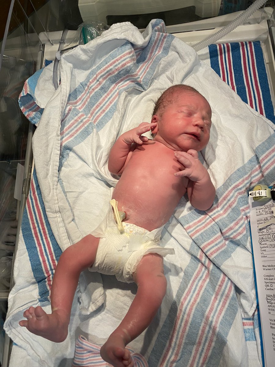 Chris Toporski tweet media