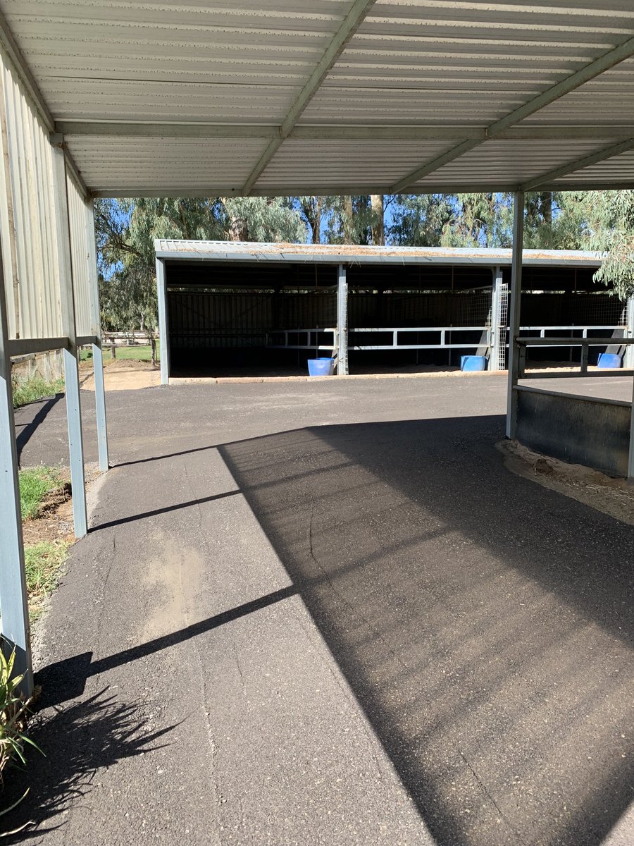 KatWarwick2's tweet photo. Make money, spend money. No wonder I’ve never got any……….but how good does the stable area look 😍 https://t.co/RecMbDn6Ig