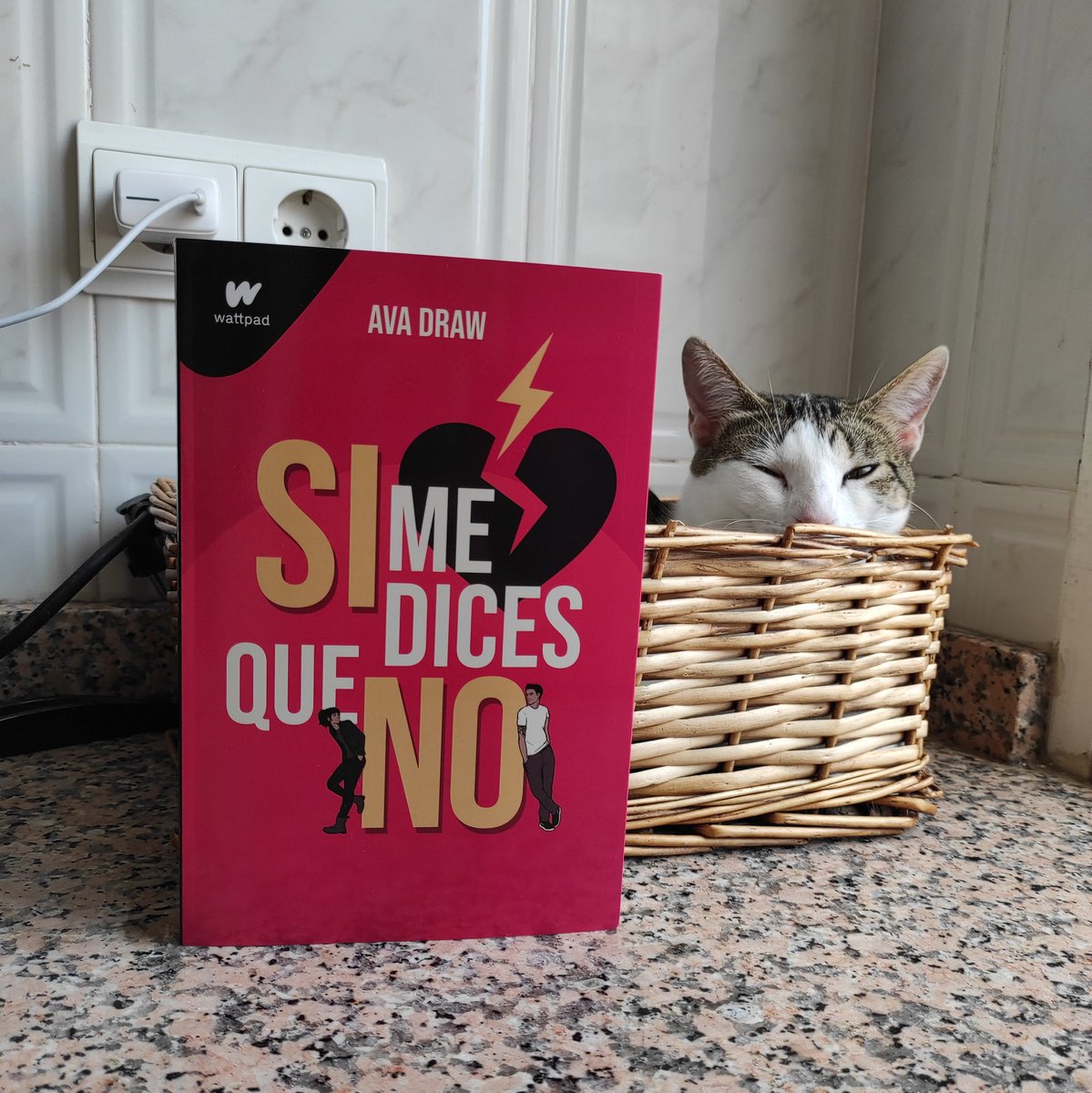 Marina Velveth🔪 tweet media