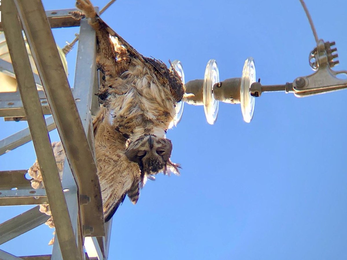 Aliança contra la Pobresa Energètica tweet media