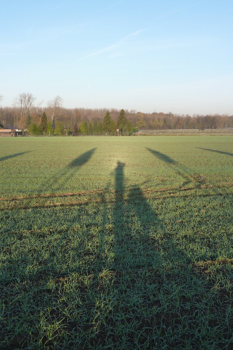 frankdeboosere's tweet image. Jouw wagen een maand lang vrijaf geven, lukt jou dat? Ik probeer het in juni en ga voor #30dagenminderwagen en meer #duurzamemobiliteit
Goed voor de gezondheid, het milieu en je portemonnee. Doe je mee? 
Schrijf je in via 30dagenminderwagen.be