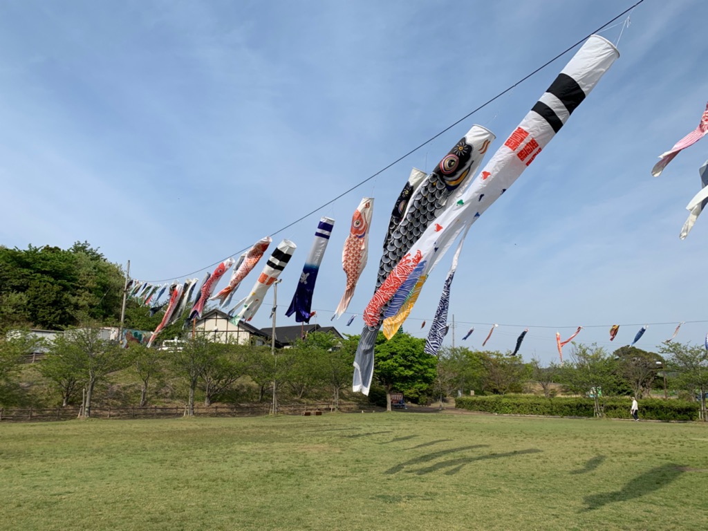 تويتر 常滑市 公式 على تويتر 鯉のぼりが元気に泳いでます 常滑市南部にある小脇公園で 今年も約90匹の鯉のぼりが元気に泳いでいます 5月6日午前中まで泳ぐ予定なので ぜひ一度見に来てください 問合せ 小脇公園事務局 Tel 0569 37 1531 月曜定休