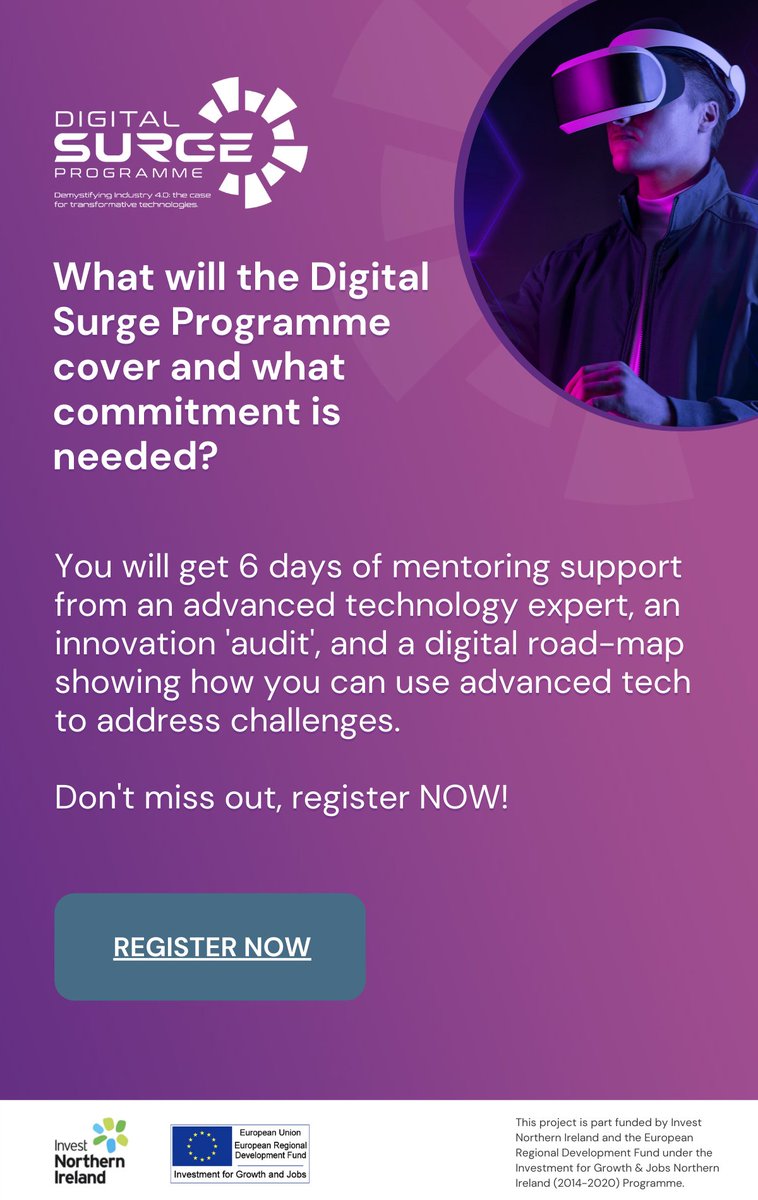 The Digital Surge Programme tweet media