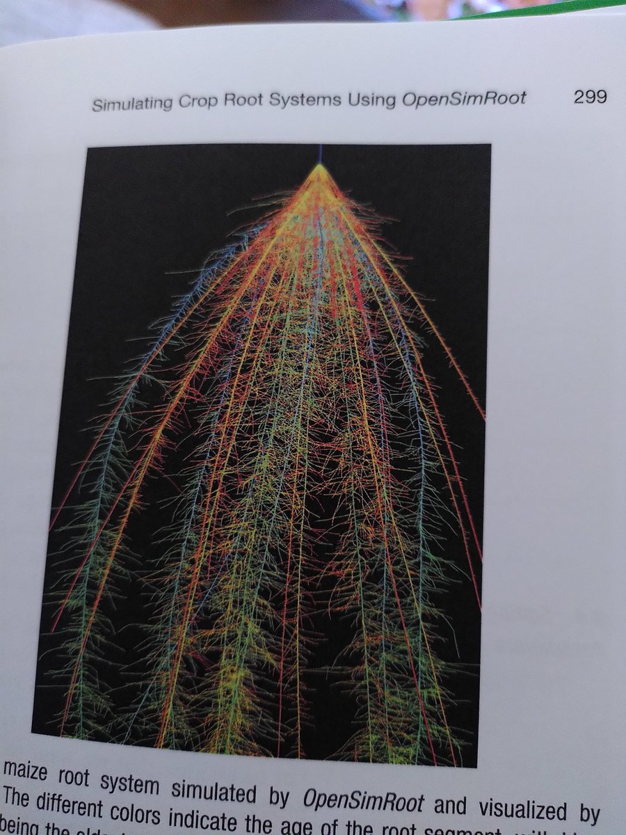 Ernst D Schafer (@schafer_ernst) on Twitter photo Received a complimentary physical copy of a book chapter I wrote with <a href="/MarkusOwenMMB/">Markus Owen</a>, <a href="/j_a_postma/">Johannes Postma</a>, Christian Kuppe, <a href="/infotroph/">Chris Black</a> and Jonathan P. Lynch. I think it came out looking really nice! Hope it's useful to all aspiring #OpenSimRoot users! Received a complimentary physical copy of a book chapter I wrote with <a href="/MarkusOwenMMB/">Markus Owen</a>, <a href="/j_a_postma/">Johannes Postma</a>, Christian Kuppe, <a href="/infotroph/">Chris Black</a> and Jonathan P. Lynch. I think it came out looking really nice! Hope it's useful to all aspiring #OpenSimRoot users!