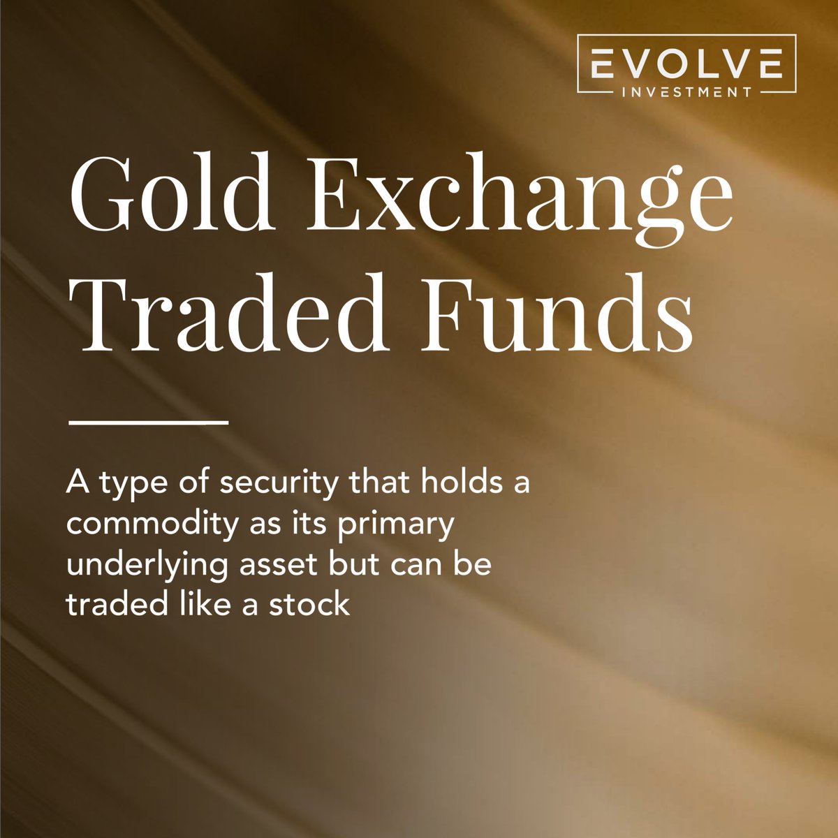Evolve Holding tweet media