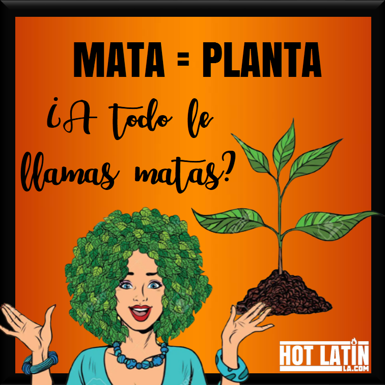 hotlatin_la's tweet photo. A propósito del #420: entérate del significado de la #MATA en #Venezuela
#Cannabi #marihuana #MATICA #venezuela #diamundialdelamarihuana #unsolopueblo #CharlieMata #MataRica #Lamatica #Enyerbao #laseca
https://t.co/IGUMrOiIlE https://t.co/xShtCzsV8k