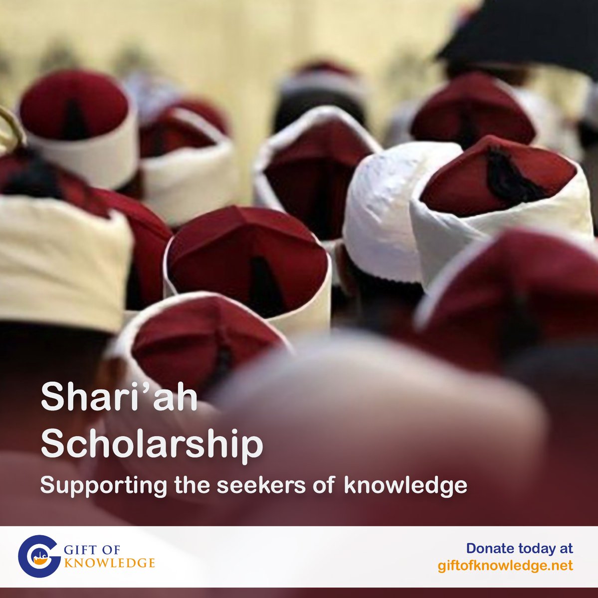 Gift of Knowledge tweet media