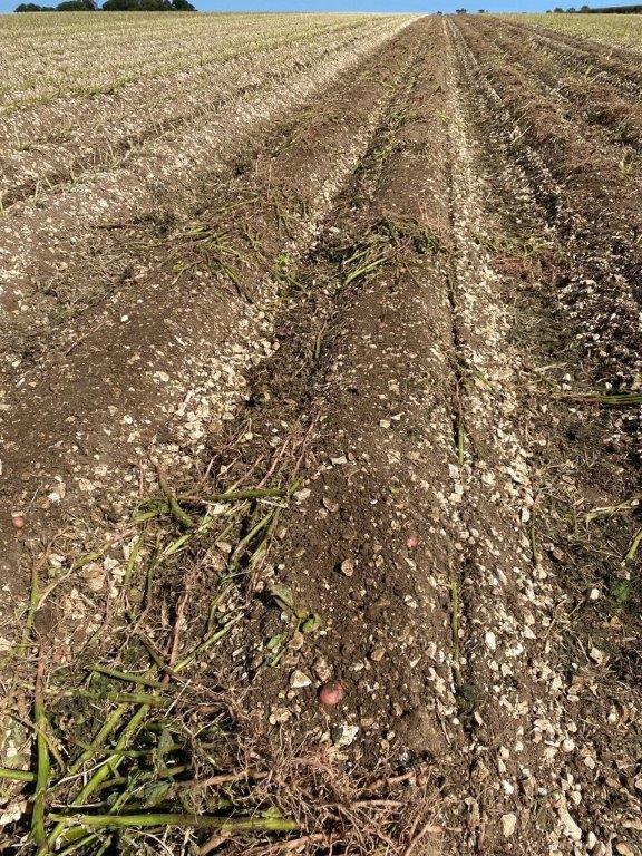 Branston Seed (@branstonseed) on Twitter photo #EarthDay is upon us, what are you doing to #InvestInOurPlanet?
We are continually looking for sustainable alternatives to chemical use. This year we will be trialling, for the 2nd year, the <a href="/vegniek/">Vegniek</a> Discmaster haulm puller
<a href="/standeneng/">STANDEN ENGINEERING</a>
youtube.com/watch?v=n3Y4rB…
#greenagriculture #EarthDay is upon us, what are you doing to #InvestInOurPlanet?
We are continually looking for sustainable alternatives to chemical use. This year we will be trialling, for the 2nd year, the <a href="/vegniek/">Vegniek</a> Discmaster haulm puller
<a href="/standeneng/">STANDEN ENGINEERING</a>
youtube.com/watch?v=n3Y4rB…
#greenagriculture