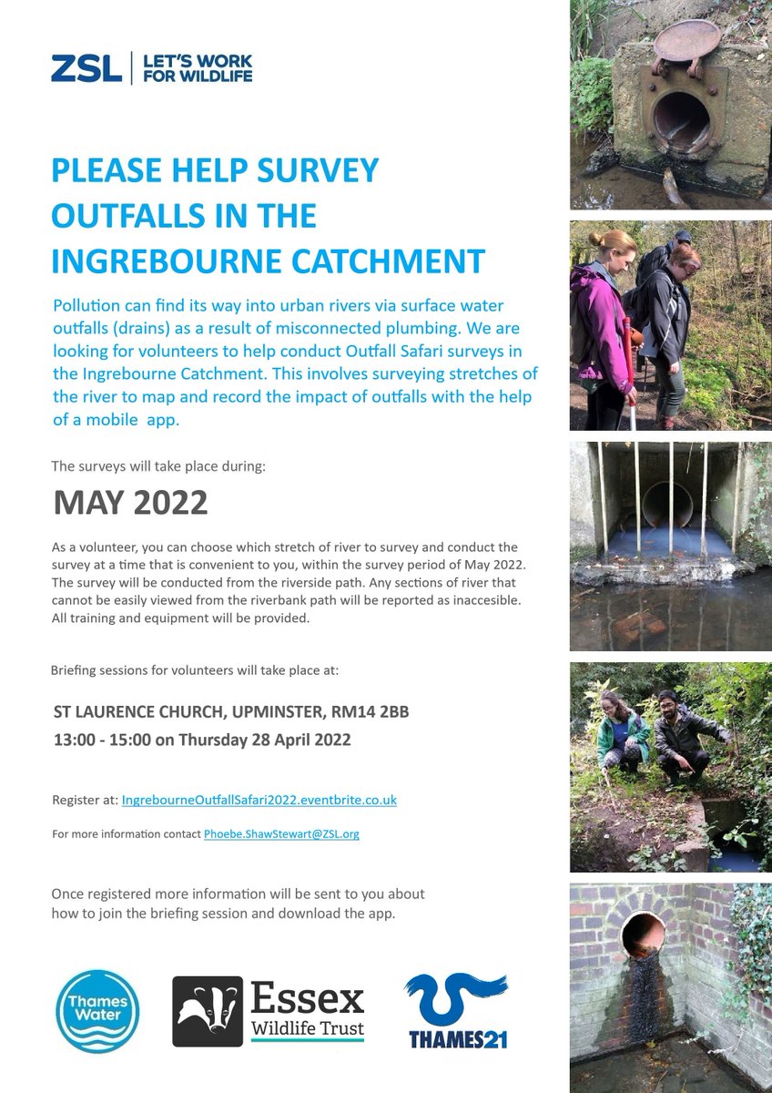 LandOfTheFanns's tweet photo. Could you help survey outfalls in the Ingrebourne Catchment?
Briefing takes place on Thursday 28 April with the surveys being carried out in May.
Contact Phoebe at ZSL (email on the poster below) to find out more.
#volunteering #rivers #outfall
@ThamesWater https://t.co/5aLH4Uk1Vh