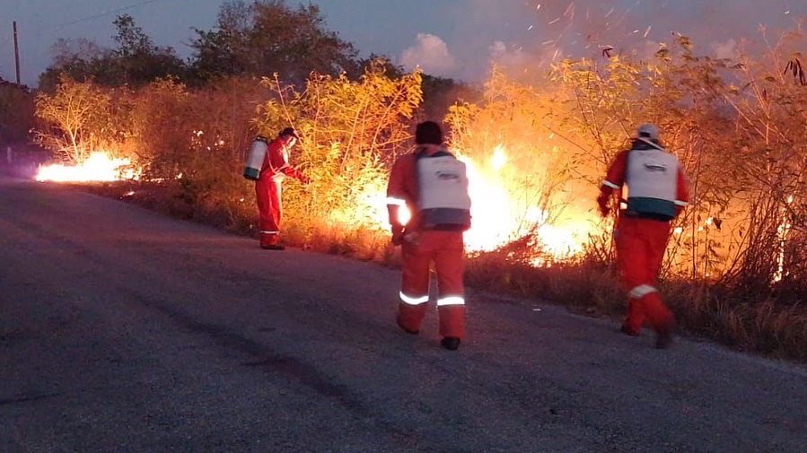 EnriqueAlcocerB's tweet photo. Atendimos incidentes con fuego gracias a los reportes que recibimos al 9-1-1 en coordinación con Bomberos de la @sspyuc y autoridades locales en los municipios de #Tunkas y #Motul donde se quemaron monte, pastizal y basura. No se reportan afectaciones a propiedades ni lesionados. https://t.co/Mf5N5VFrzt
