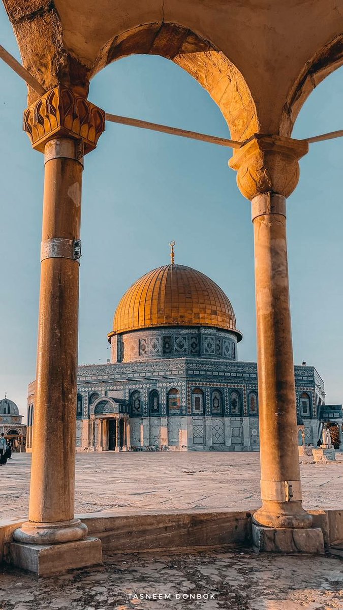 BeissenMeriem02's tweet photo. أهلًا بِوَجهكَ لا حُجِبتَ عن نظرِي
يا فِتنةَ القلبِ بل يا نُزهَةَ البَصَرِ ...💚🌿
🇩🇿💚🇵🇸
•
#فلسطين_قضيتي https://t.co/90twdfntbP