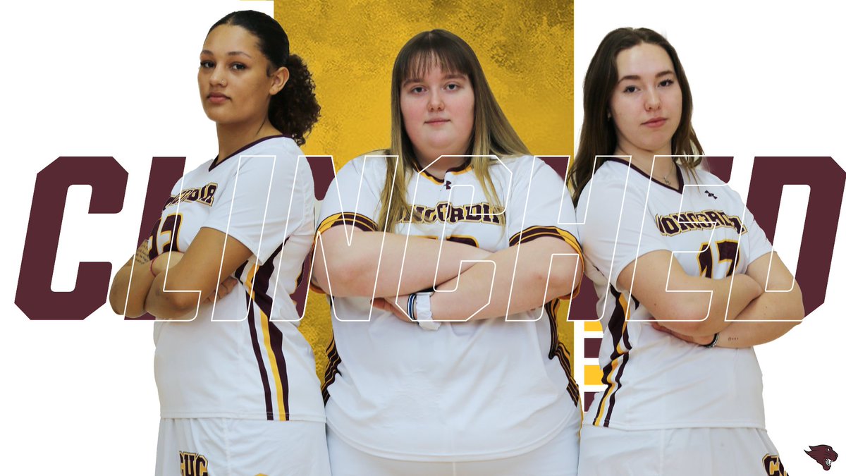 Concordia Chicago WLax tweet media