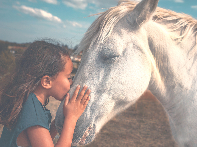 CagesFree's tweet photo. #ReturnToFreedom #NoHorseSlaughter #WildHorses
#OpRodeo #BeKindToHorses 
#AnimalRights #BoycotRodeo
We are being used for your selfishness, #Trophies and #money
Stop feeding your greed
No more #HorseRacing 😡
#StopWildHorseRoundups!🐴
#OpHorseRacing
#EndHorseAbuse https://t.co/bsZ8mZ7s1O