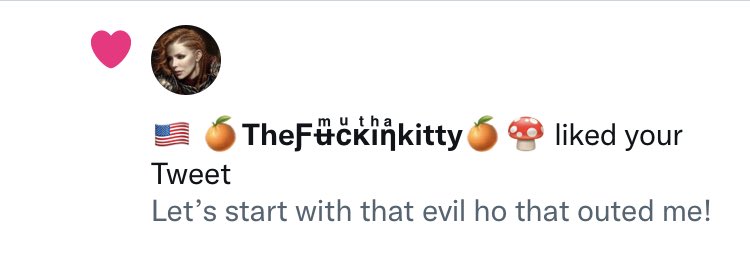 Libs of Tick Tock tweet media