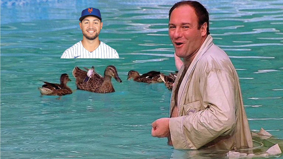 LifeOfTimReilly's tweet photo. @SNYtv https://t.co/RDdw0sgSar