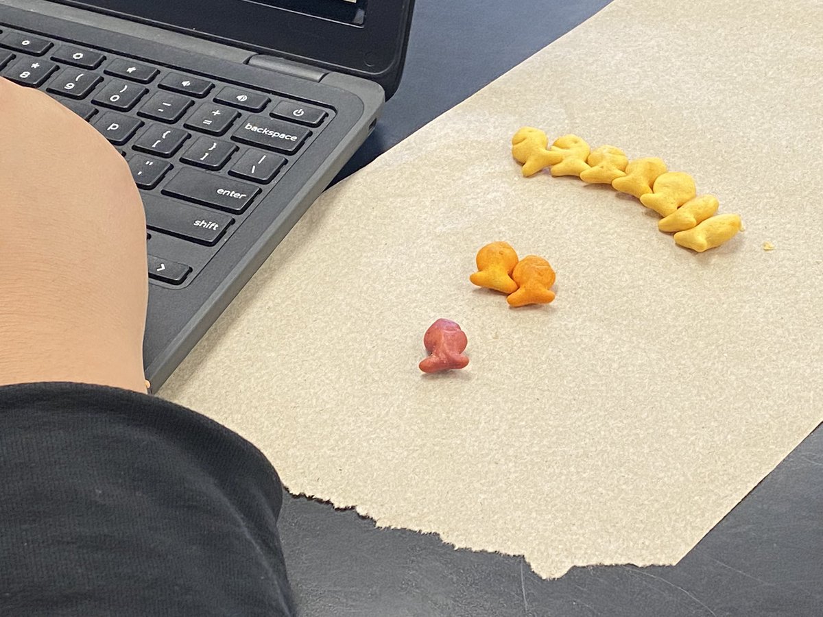 hmsleads's tweet photo. 7th Grade Science + Goldfish = Survival of the Fittest https://t.co/Nh4BFDFn7I