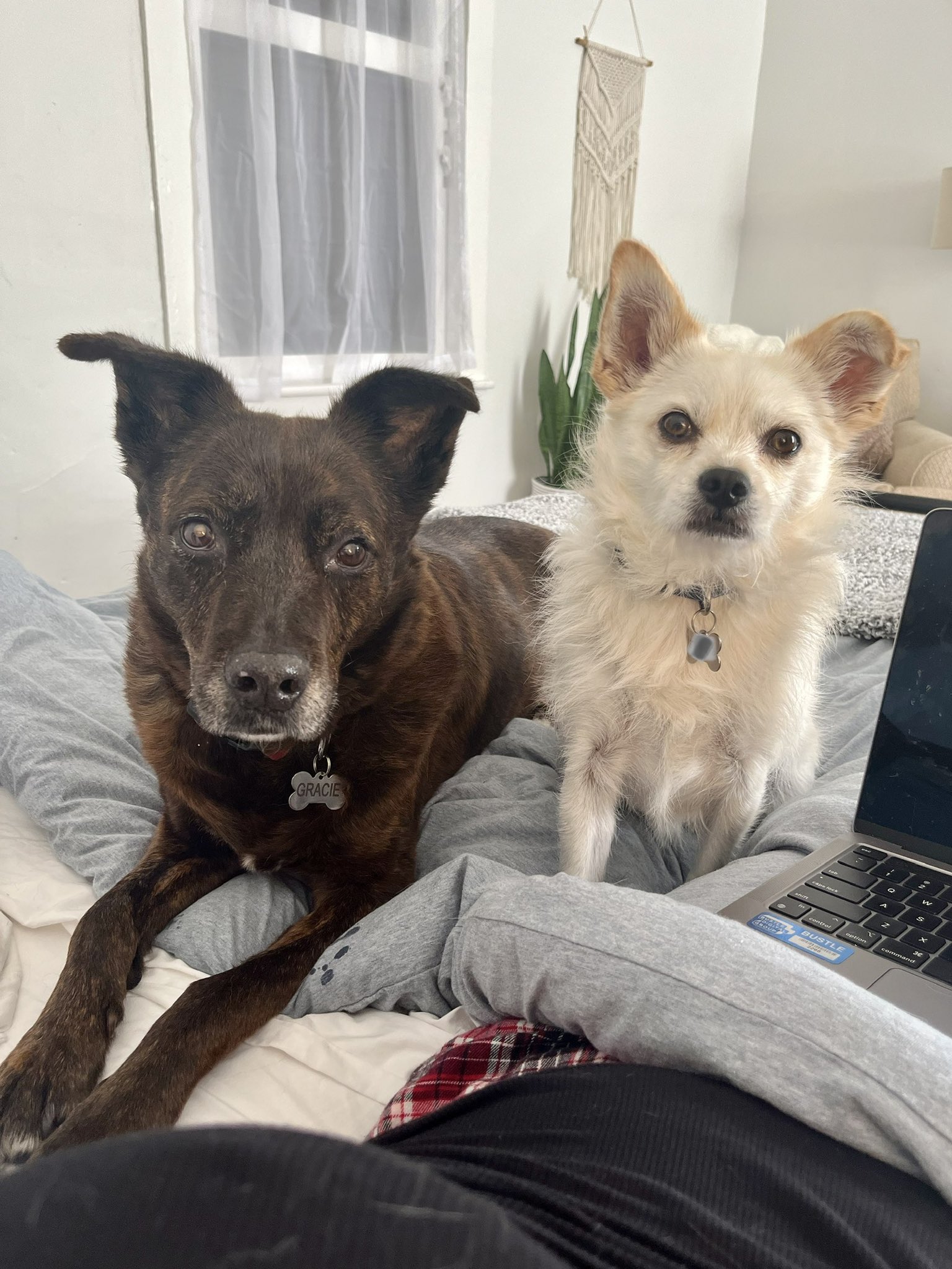 Brandy Jensen on Twitter "“we are a bit concerned about your mood