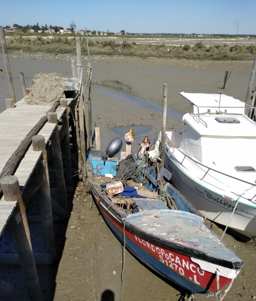 MBAPostgradConf's tweet photo. The #NaturalCapital approach for the management of the #Sado estuary - from @FilipamAfonso 
#MBAPGC22 https://t.co/bgsA7rfMzH