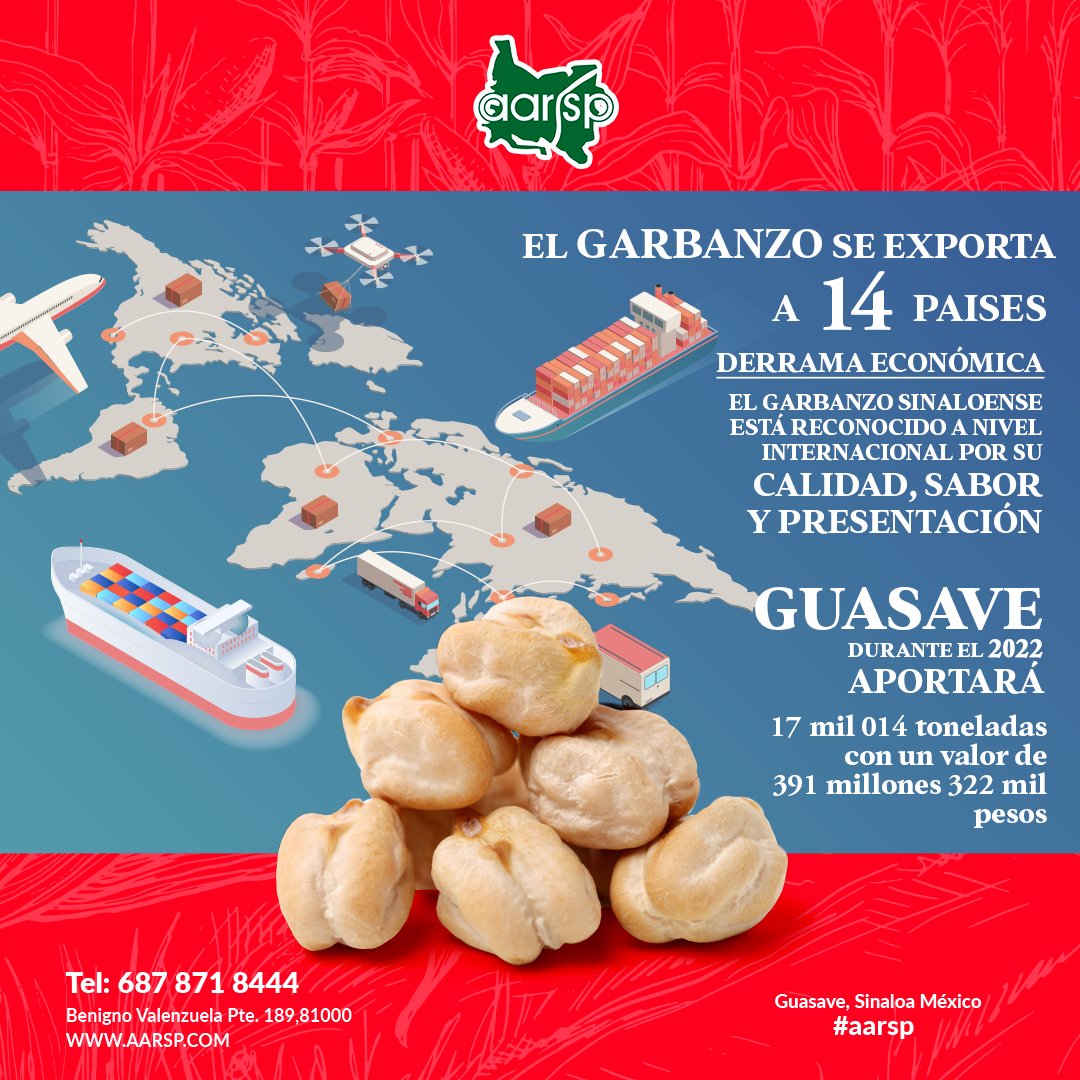 aarsp_ac's tweet photo. El garbanzo sinaloense está reconocido a internacional por su calidad, sabor y presentación.En este escenario #Guasave aportará este año 17 mil 014 toneladas con un valor de 391 millones 322 mil pesos.
#ProduceSinaloa #AARSP #Garbanzo https://t.co/7iUyChxdqx