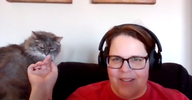 Pivotslc's tweet photo. Greyface made a special appearance during the daily stand up call with @Jane_Pivot &amp; @AVChrista! #avtweeps #catsofAV https://t.co/2jqXRGXyAC