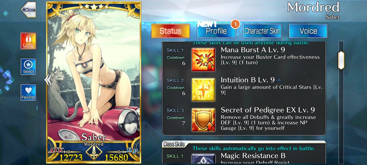 Seynd_'s tweet photo. @FateGO_USA I need lores! Give me more lores! https://t.co/0tLFEMZ85j