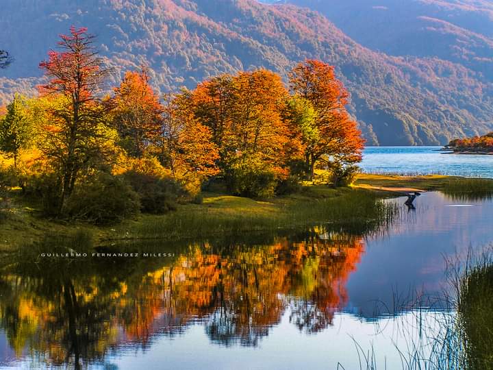 fm_dellago's tweet photo. Imágen de otoño del Río Villarino en la Ruta de los Siete Lagos.
Foto: Guillermo Fernández Milessi https://t.co/pt0XQIDgR3