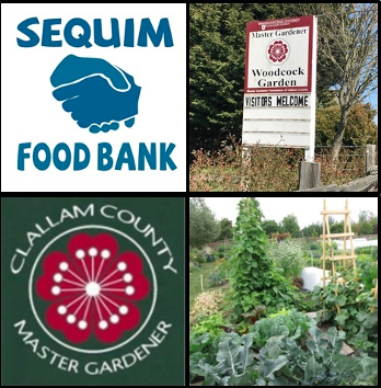 WSUClallam's tweet photo. 2 Scoops of Goodness! Support community garden programs for youth, adults &amp; the food bank while investing in your own garden. 

Shop the Clallam County Master Gardeners Plant Sale!
Saturday, May 7th, 9–3 p.m., 2711 Woodcock Road, Sequim https://t.co/3YaUy8IRoi
