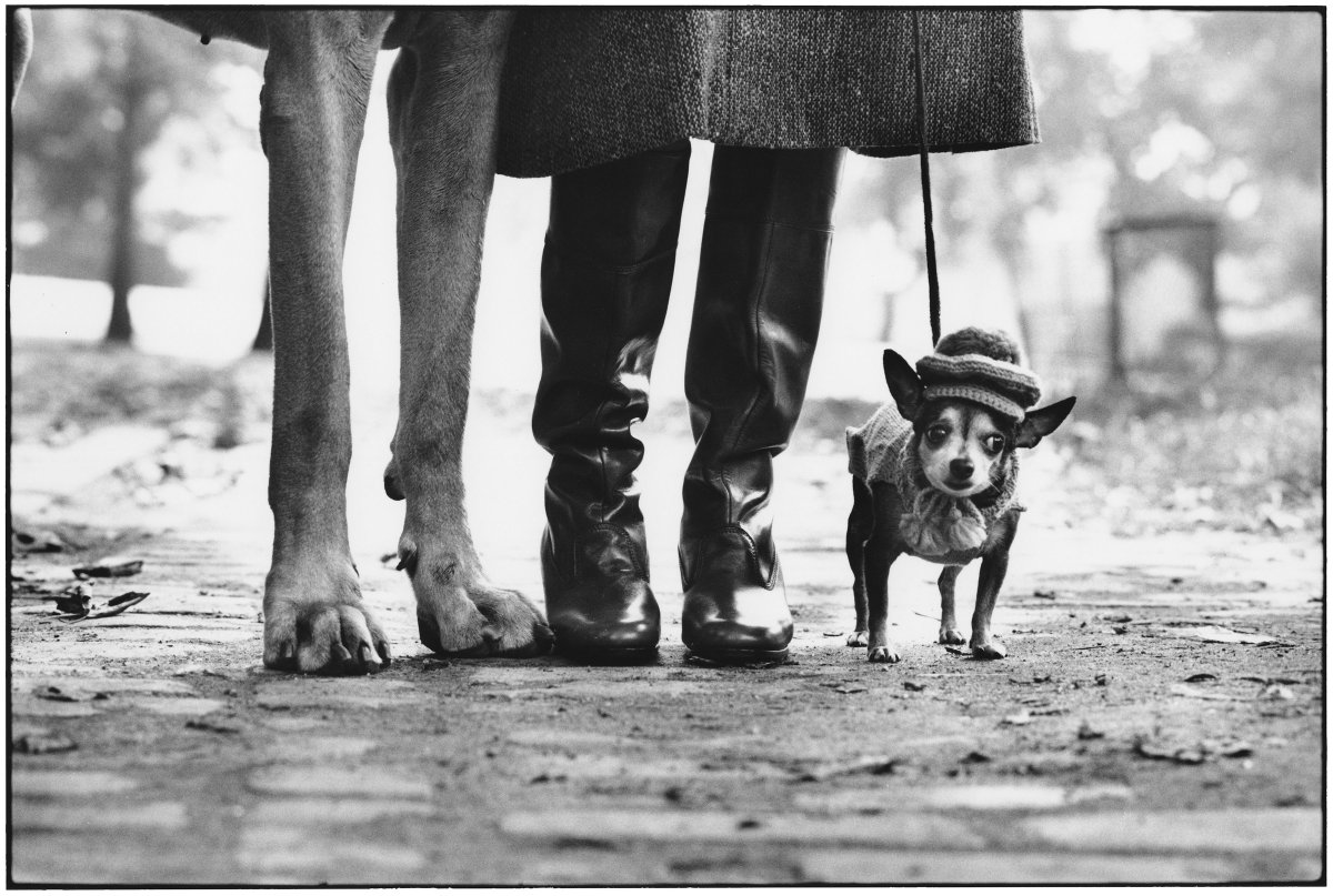ARTEit's tweet photo. La fotografia di Elliott Erwitt in arrivo a Milano  https://t.co/6fyXEwaC3G https://t.co/Da51BM9IJd