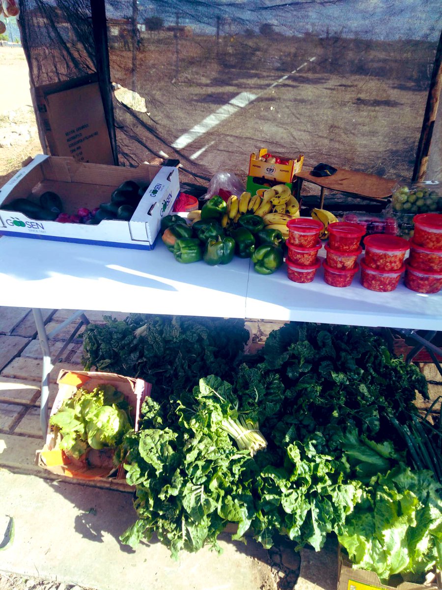 SphiweMashiyane's tweet photo. You can find us on very corner because we take pride in our produce #Agritalk  #Sphowefarm #agribusinesstalk #agriculteurs https://t.co/VGJWQyd2vs