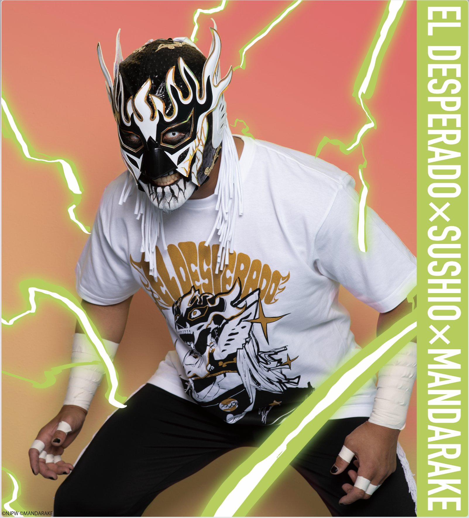 新日本プロレス / エル・デスペラード コインケース 会場限定販売 新品・未使用 5.30『BOSJ』後楽園大会から会場限定で販売！メキシコ製