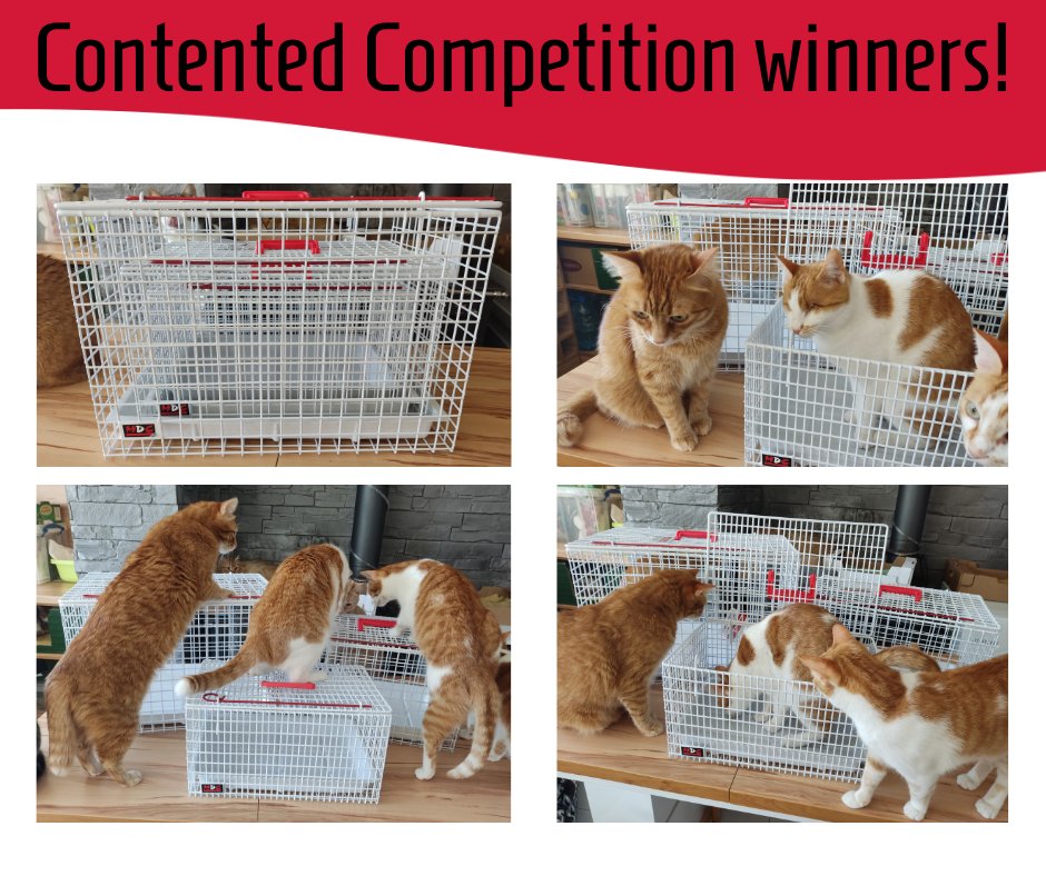 Competition winner Sarah Jane selected our nest of carriers as a prize for her rescue. I think you will agree - her cats appear very happy with her choice! 
Thank you, Sarah, for sharing these lovely pics.
#rescuecat #bulgaria #catsoftwitter