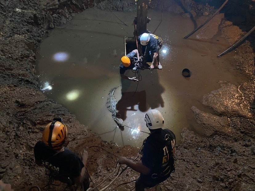 🐊 Animal Rescue🐊

Our poles have helped the RESQ team in their animal rescue missions!

#animalrescue #animals #rescue #animallovers #animalsanctuary #animalrights #animallover #wildlife #animalwelfare