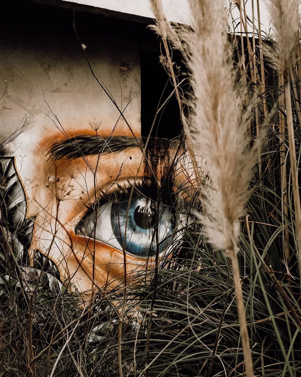 HuaweiMobilePT's tweet photo. Falta-lhe inspiração para fotografar?
Veja as últimas fotografias tiradas pela nossa comunidade e siga a nossa página de Instagram para obter inspiração diária: https://t.co/lATP6hS3L9
Qual a sua favorita? https://t.co/ywGKEwICB2