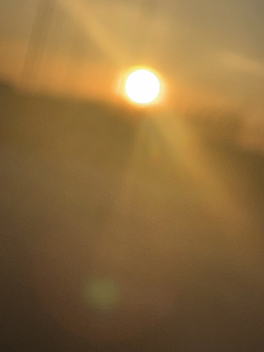 pardeep19922328's tweet photo. Early morning run. Watched the sun rise and went for a run 🏃‍♀️ 

#WednesdayMotivation #Wednesdayfeeling #wednesdaysunrise #feelinggood #6kmrun #thisgirlcan #inspirationtomany #l
Have a great day everyone 😍😍😍 https://t.co/zRRfiVPPyB