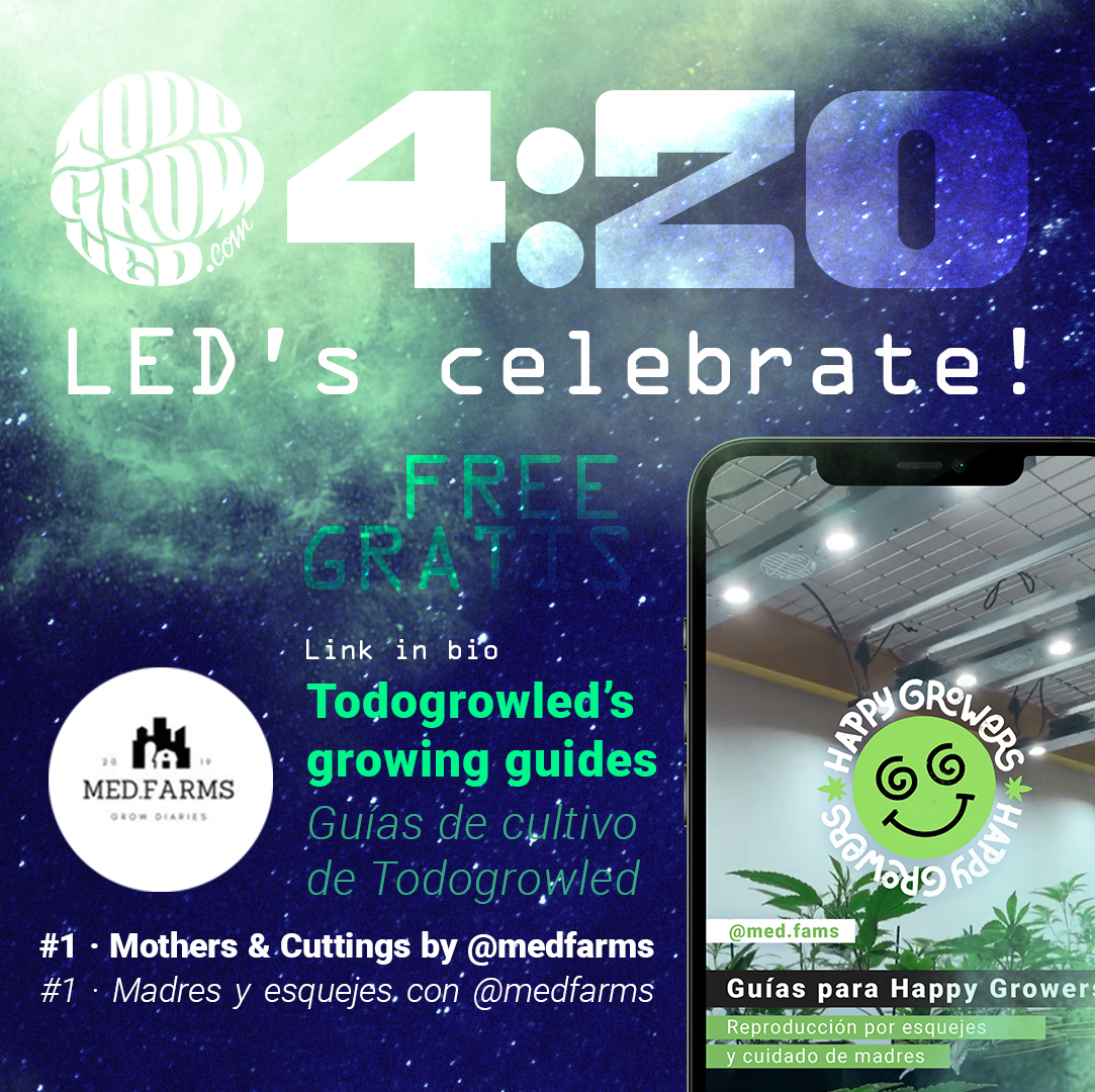 TodoGrowLED tweet media