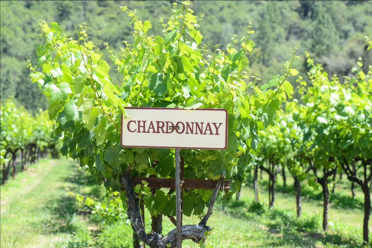 Sheldon's Wines tweet media
