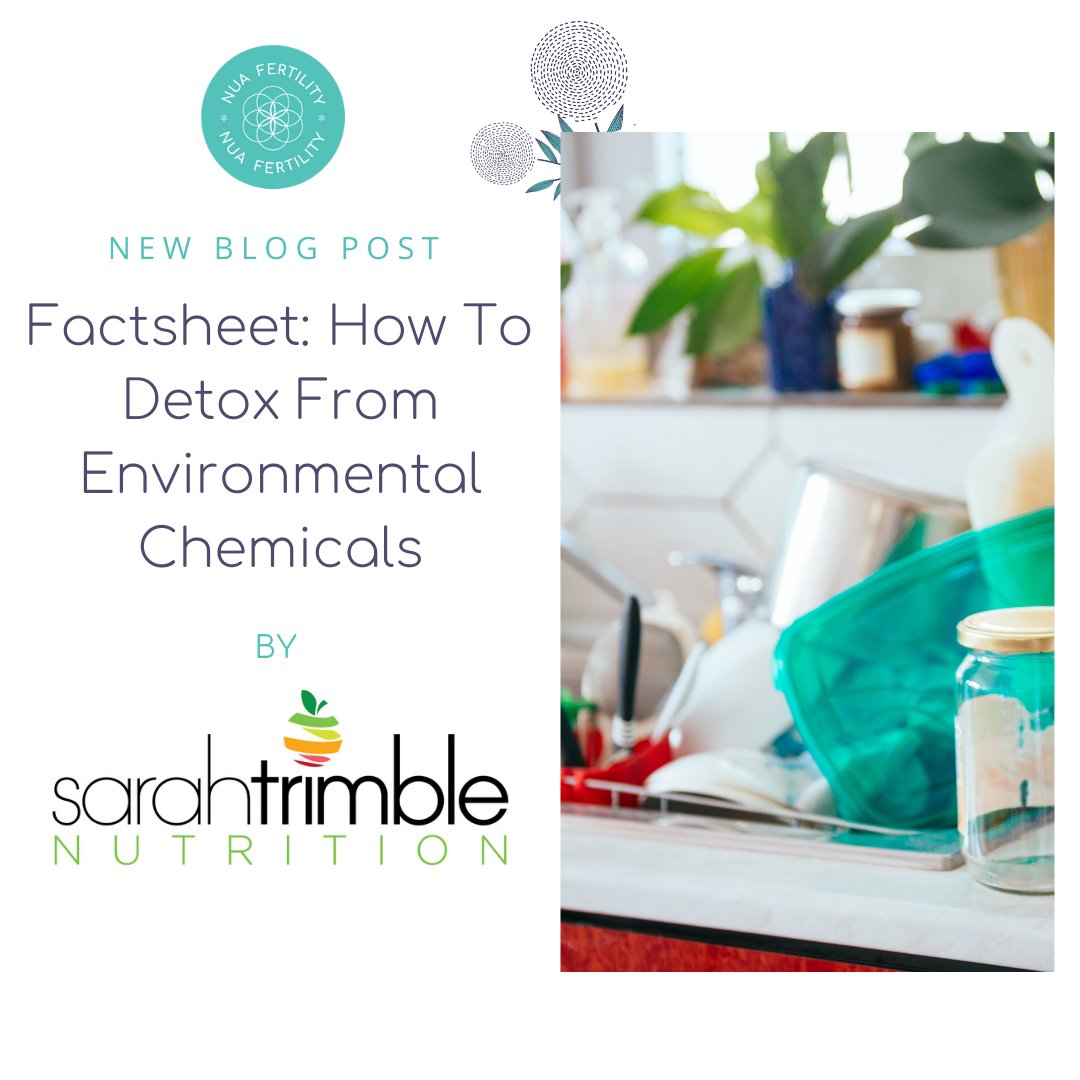 NuaFertility's tweet photo. New Blog Out - How To Detox From Environmental Chemicals

Reducing exposure to chemicals such as phthalates, BPA, parabens, and pesticides can seem like an impossible task but it is not impossible.

To read our new blog by Sarah Trimble, click here - https://t.co/Khs3NHlYOO 💗 https://t.co/xLS9awTMUP
