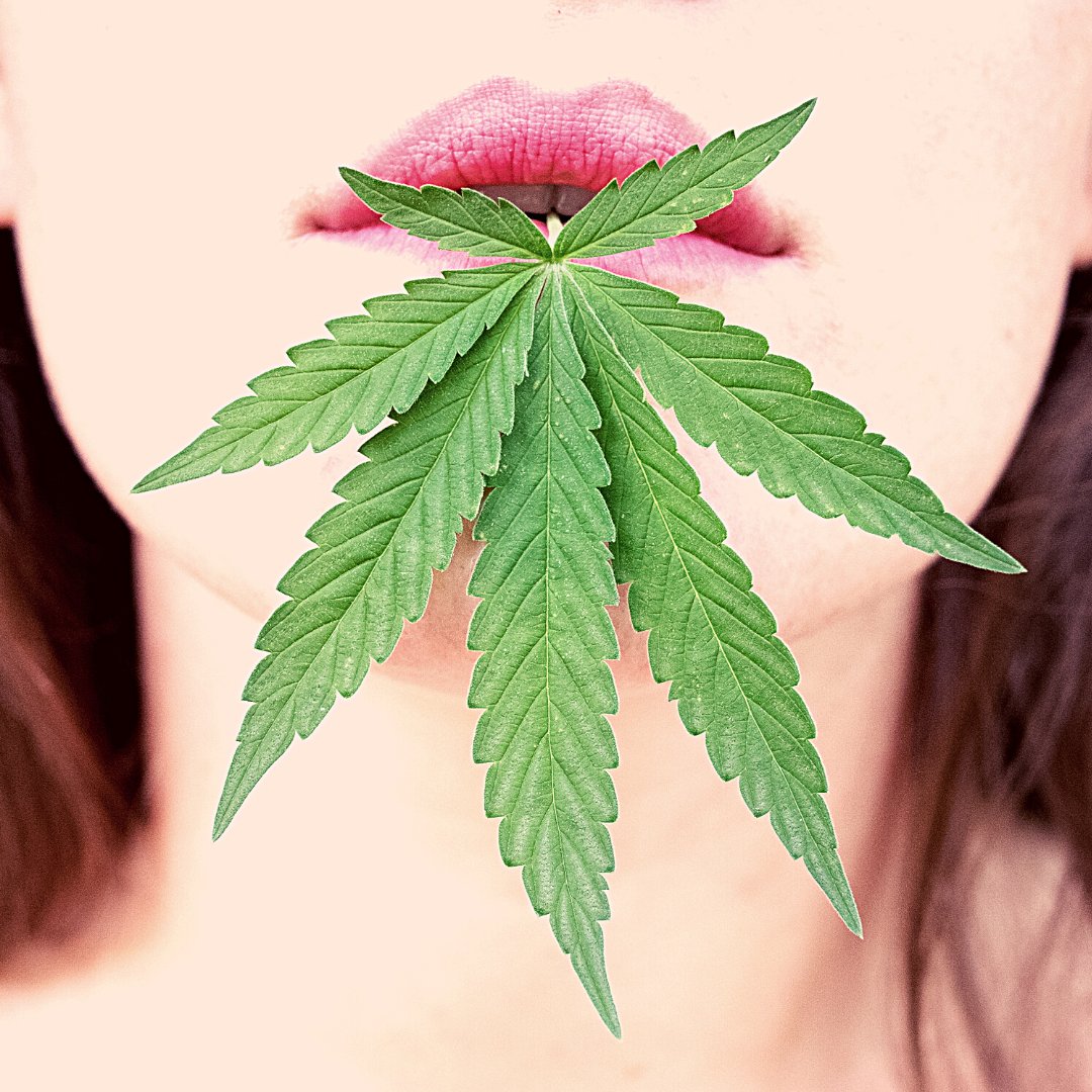 Happy 4/20! 🍃

Cannabis and hemp hold many benefits with CBD being a huge one. Many use CBD for acne treatment and other skin conditions which cause dry, itchy skin. Ascend's serums all have CBD as the hero ingredient to help nourish skin day and night!💚

#420