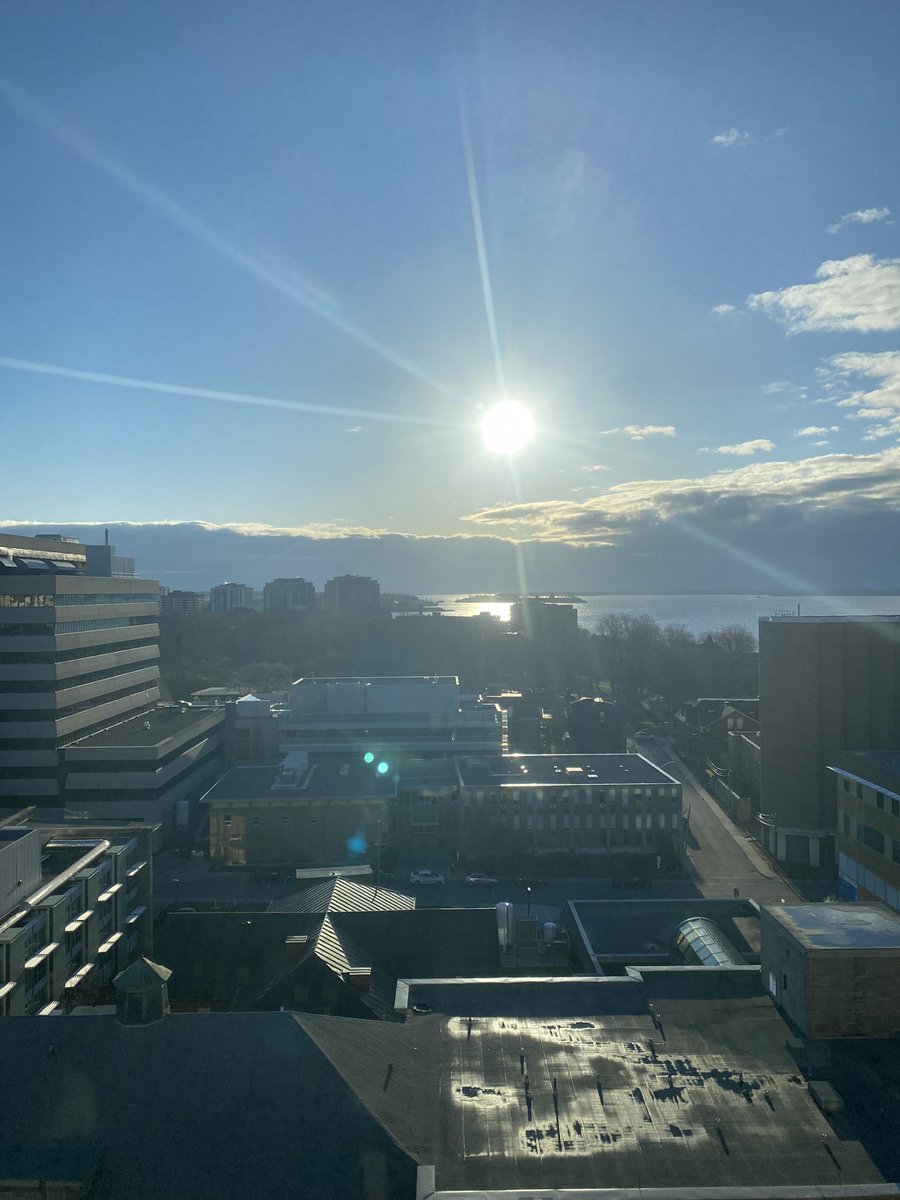 Vanessa Wiseman tweet media