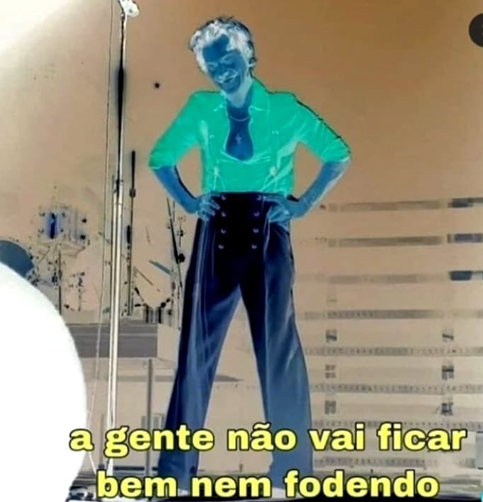 iHarryDocinho's tweet photo. meu gatinho não tem um dia de paz https://t.co/O5oceFNT89