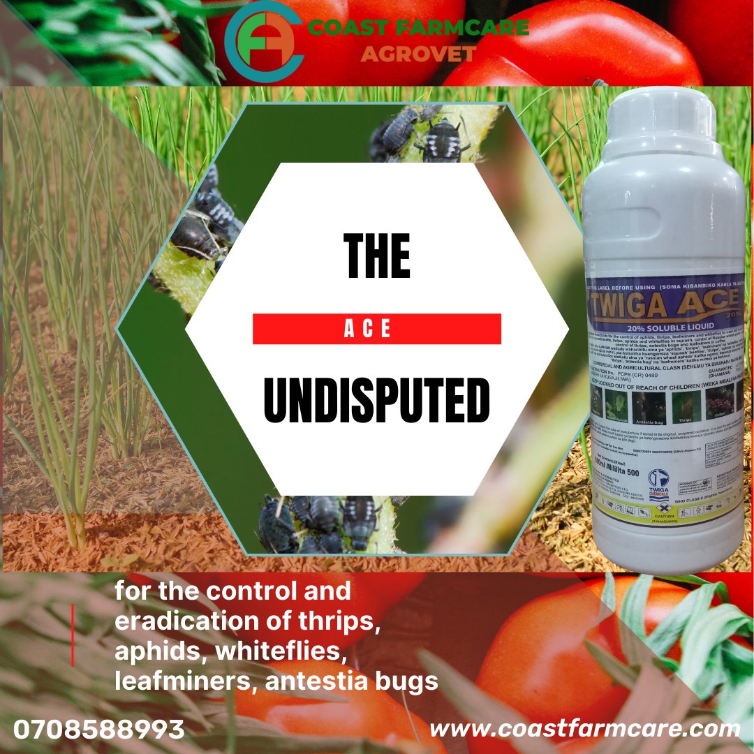 The UNDISPUTED ACE of pesticides. For use on wide variety of crops against the most destructive sucking pests. Now available at your convenience, Coast Farmcare Agrovet, your total farming solution.
#farming 
#agriculture