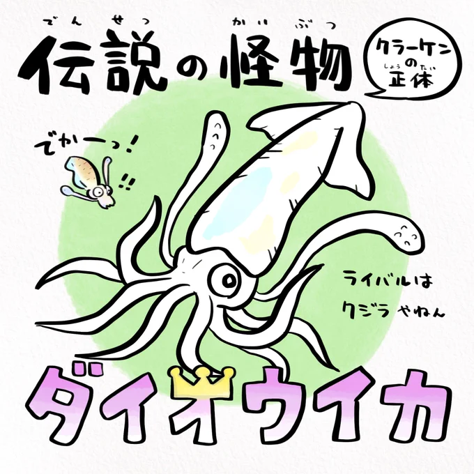 ダイオウイカの目玉はバスケボールくらいでかい 