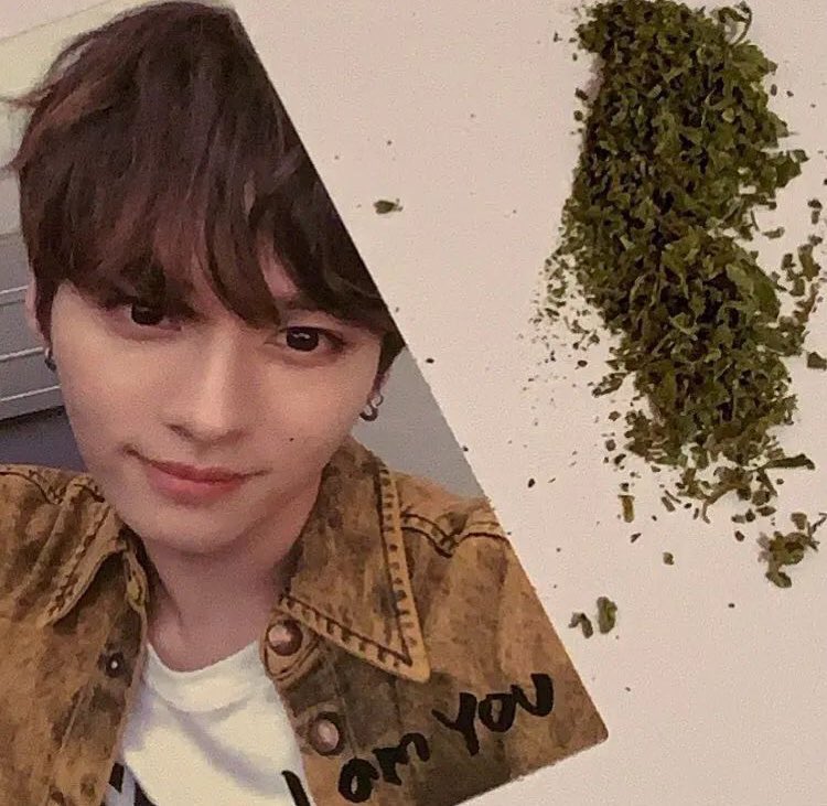 golflefleur's tweet image. happy 420