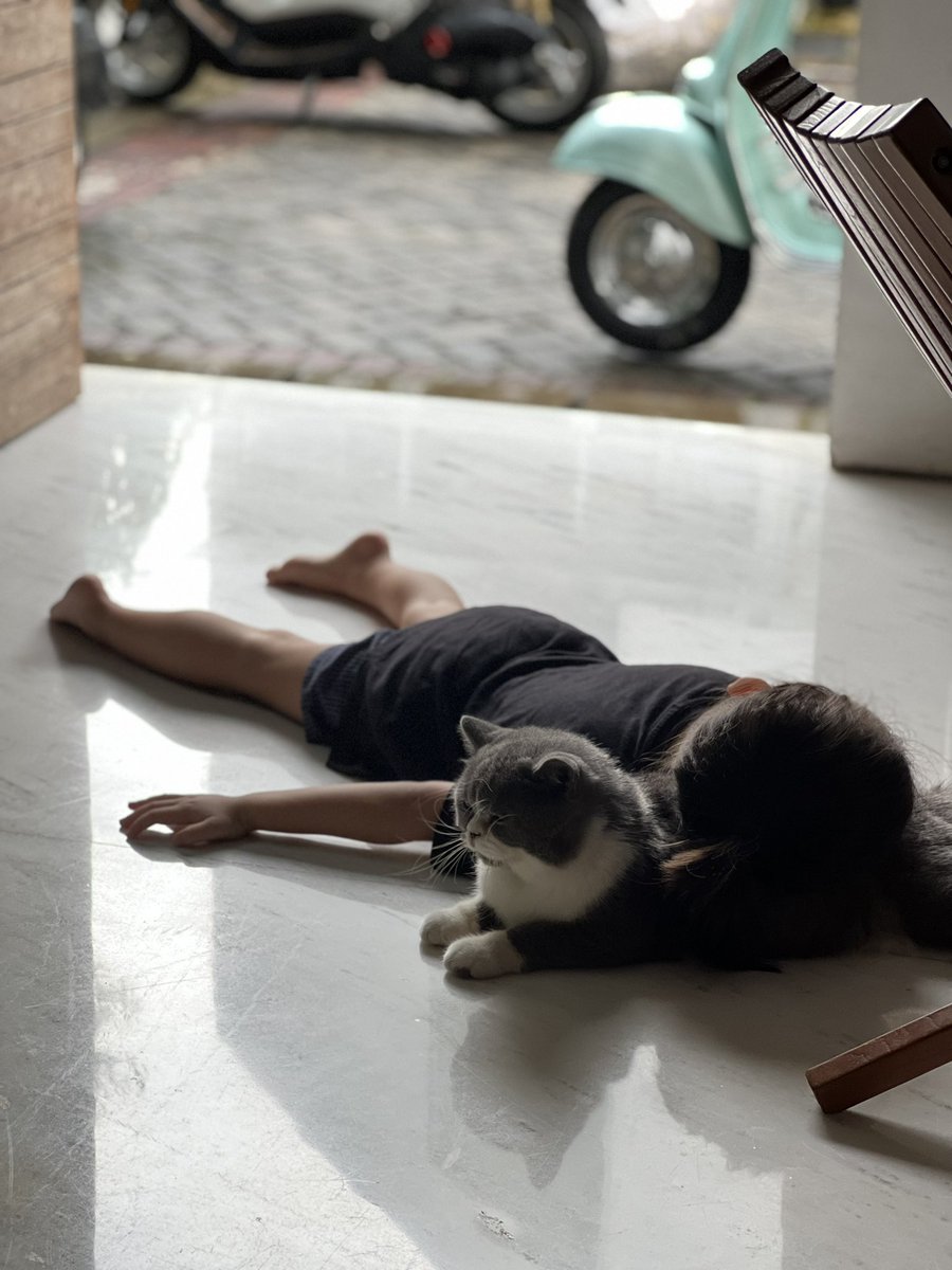 <a href="/Jejouw/">jejouw</a> <a href="/Imaginary_Ones/">Imaginary Ones | Bubio.ai</a> <a href="/KarafuruNFT/">Karafuru</a> Cat is my Favorite!  🐈 🐈‍⬛ <a href="/esinsilia/">ellyse sinsilia</a> <a href="/anggatriputra/">E Putra</a>