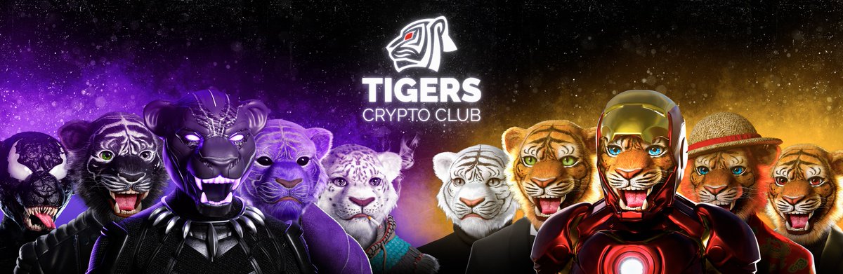 Have a look to our new banner 🔥👀🐅