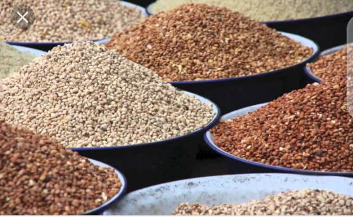 Diplomatic Alicho tweet media