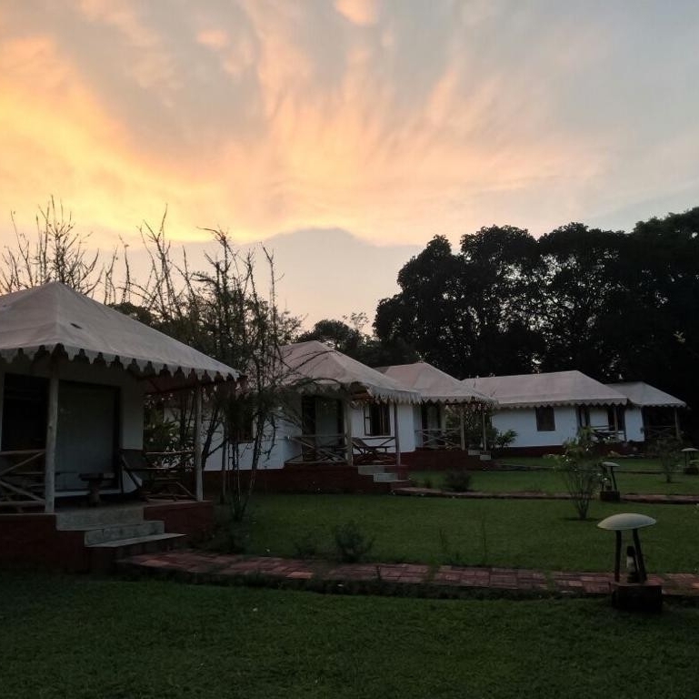 Campmonk_india's tweet image. Escape to an organic and eco-friendly getaway at the Kushalnagar Nature Stay in Coorg, Karnataka.

Learn more: l8r.it/U5DF

#coorg #kushalnagar #campmonk #getawayfrombangalore #incredibleindia #karnatakatourism #weekendgetaway #camping #naturestay