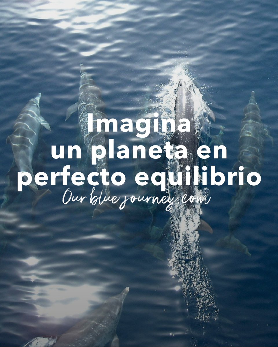 𝗜𝗺𝗮𝗴𝗶𝗻𝗮 𝘂𝗻 𝗽𝗹𝗮𝗻𝗲𝘁𝗮 𝗲𝗻 𝗽𝗲𝗿𝗳𝗲𝗰𝘁𝗼 𝗲𝗾𝘂𝗶𝗹𝗶𝗯𝗿𝗶𝗼

El calentamiento global representa una gran amenaza para la humanidad. Es un reto global que debemos superar juntos.

Ú𝗻𝗲𝘁𝗲 - ourbluejourney.com

#ourbluejourney #acuicultura #Sostenibilidad